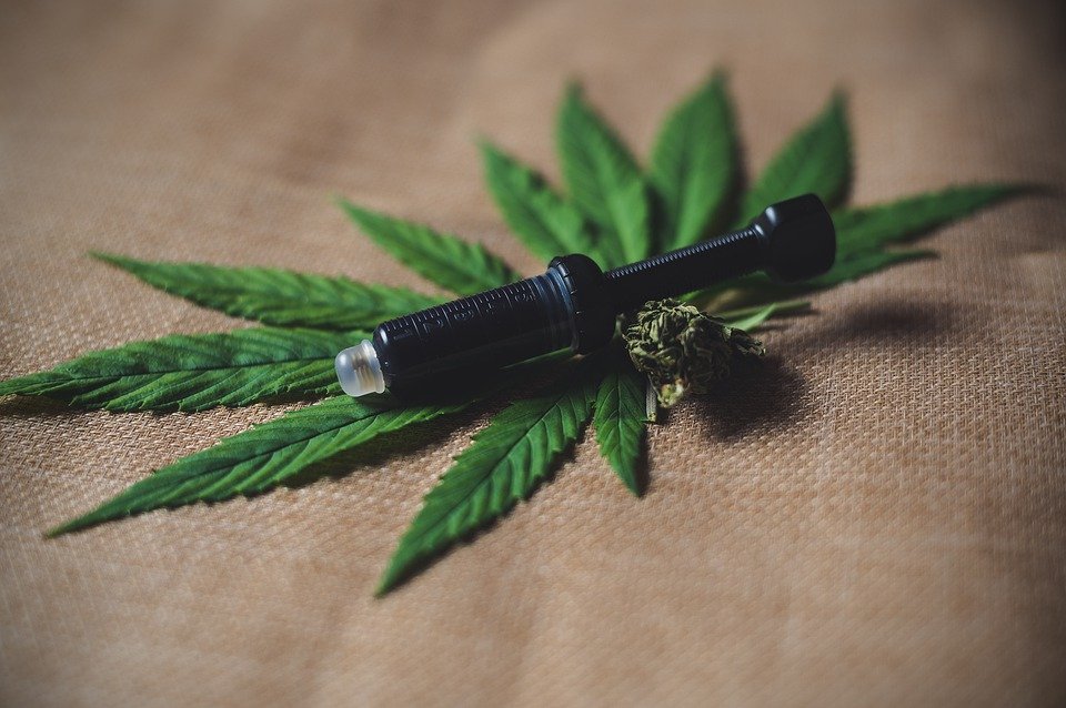 cbd oil