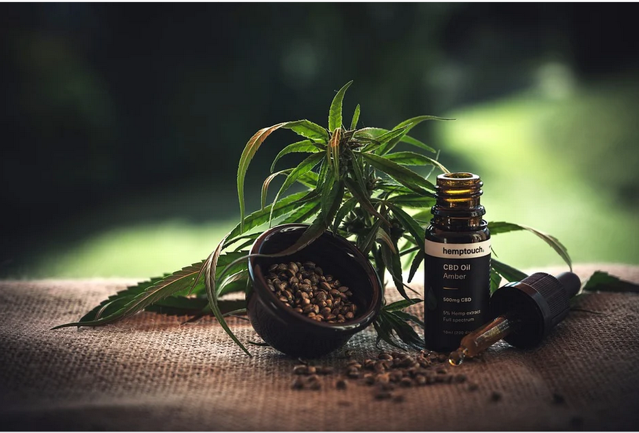 cbd oil